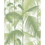 Cole & Son PALM JUNGLE OLIVE GRE/WHITE Wallpaper