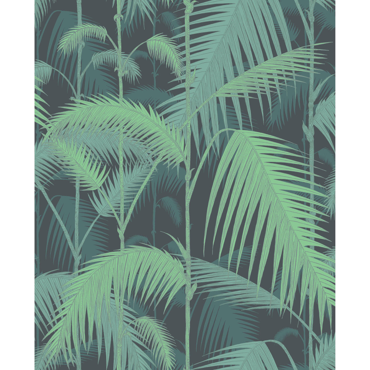 Cole & Son PALM JUNGLE GREEN/BLACK Wallpaper
