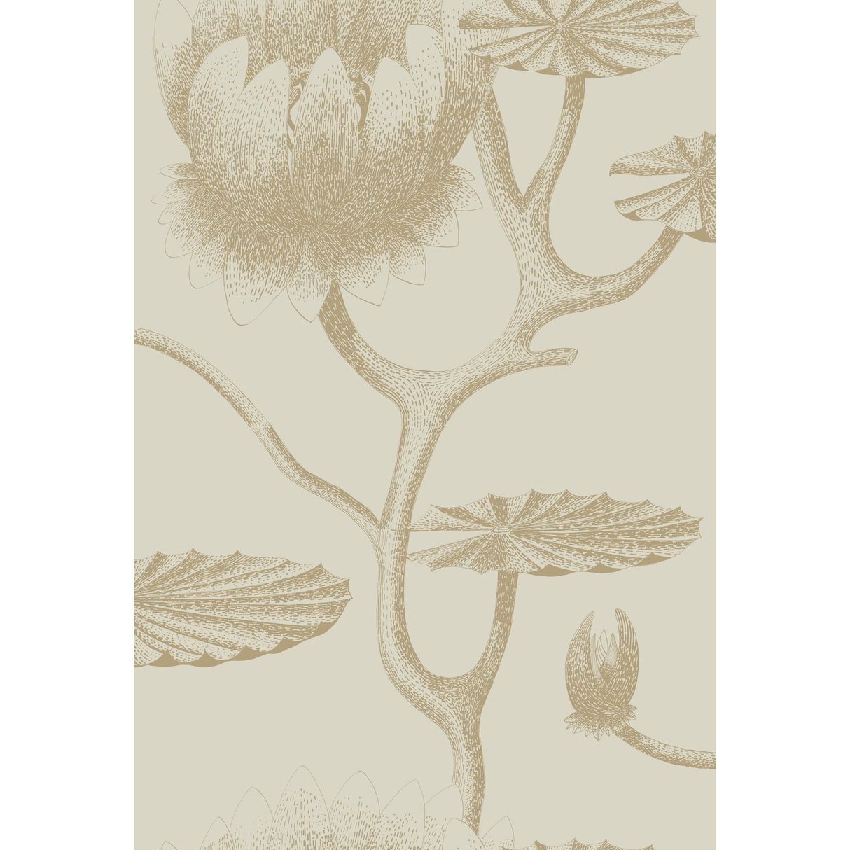 Cole & Son LILY LINEN/GOLD Wallpaper