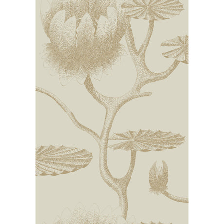 Cole & Son LILY LINEN/GOLD Wallpaper