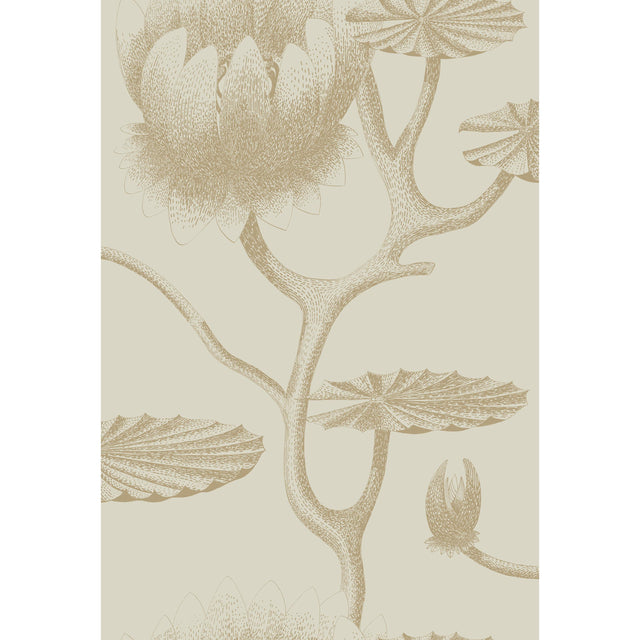 Cole & Son LILY LINEN/GOLD Wallpaper