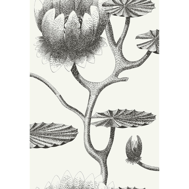 Cole & Son LILY BLACK/WHITE Wallpaper