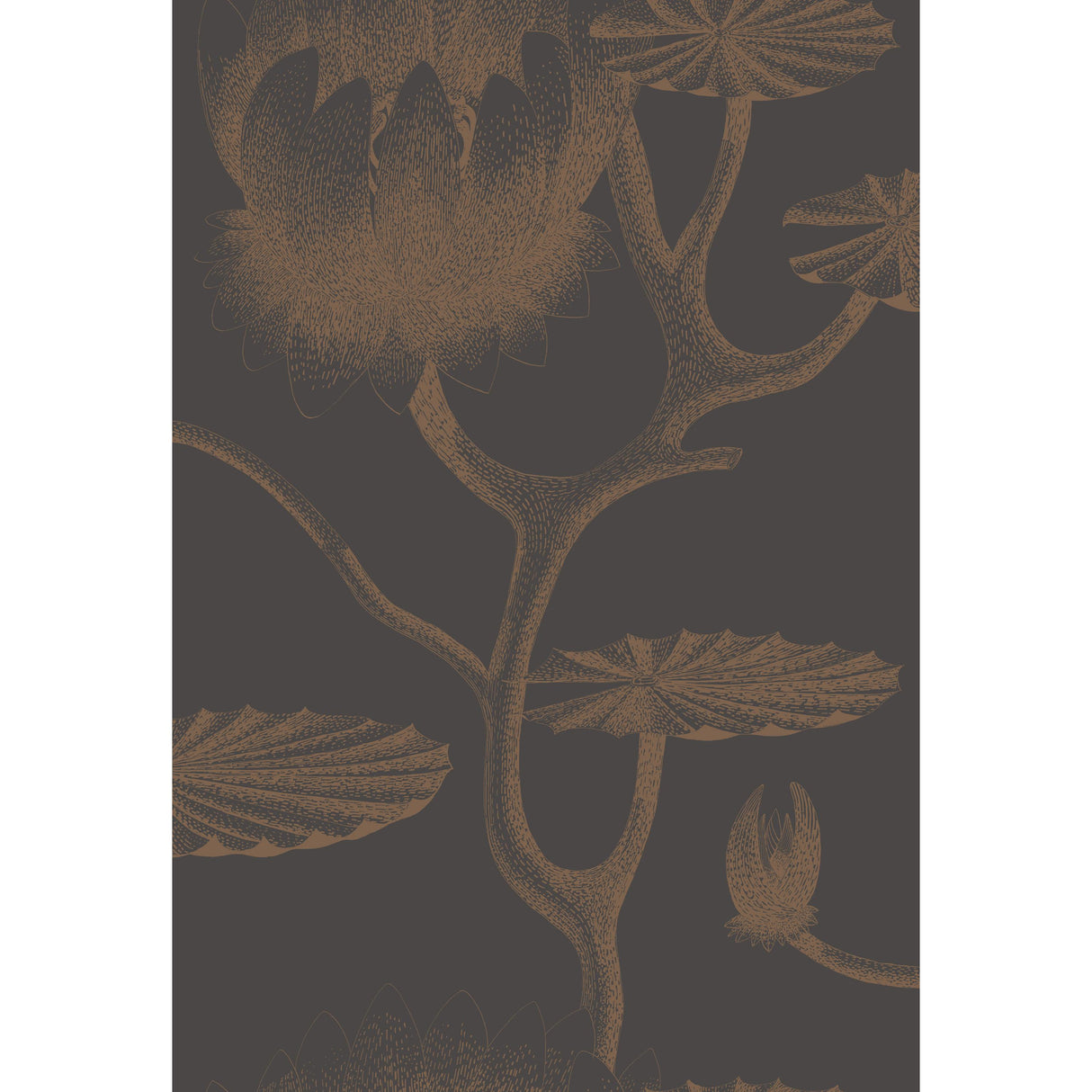 Cole & Son LILY BLACK/BRONZE Wallpaper