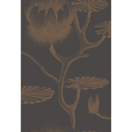 Cole & Son LILY BLACK/BRONZE Wallpaper