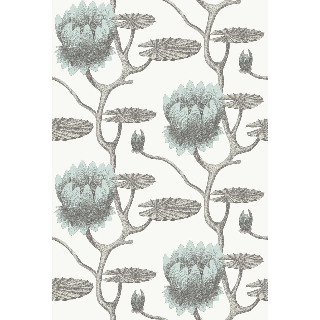 Cole & Son SUMMER LILY AQUA/WHITE Wallpaper