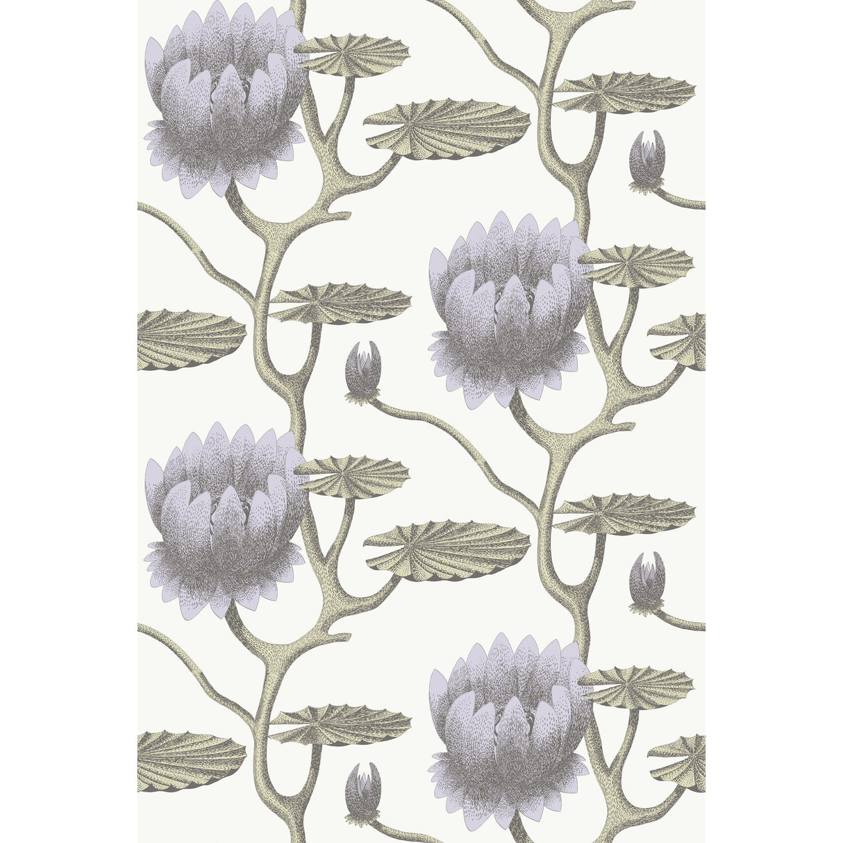 Cole & Son SUMMER LILY LILAC/GRN/WT Wallpaper