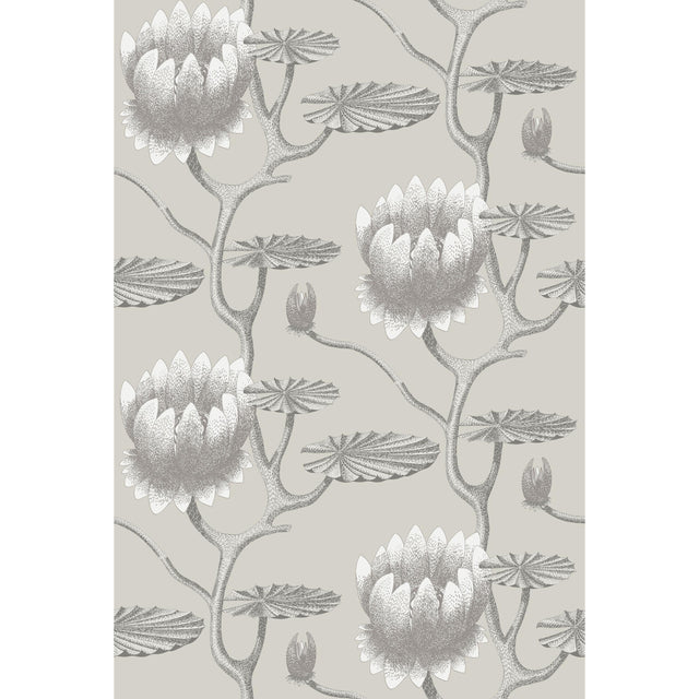Cole & Son SUMMER LILY TAUPE/WHITE Wallpaper