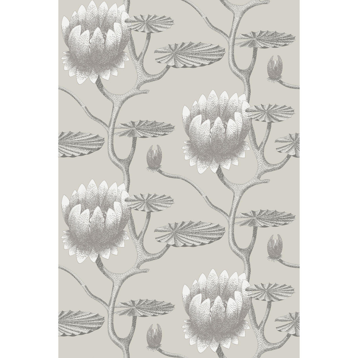 Cole & Son SUMMER LILY TAUPE/WHITE Wallpaper