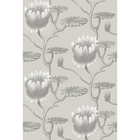 Cole & Son SUMMER LILY TAUPE/WHITE Wallpaper