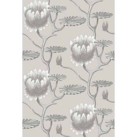 Cole & Son SUMMER LILY TAUPE/WHITE Wallpaper