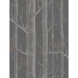 Cole & Son WOODS & PEARS GILVER/BLACK Wallpaper