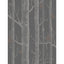 Cole & Son WOODS & PEARS GILVER/BLACK Wallpaper