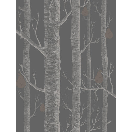 Cole & Son WOODS & PEARS GILVER/BLACK Wallpaper