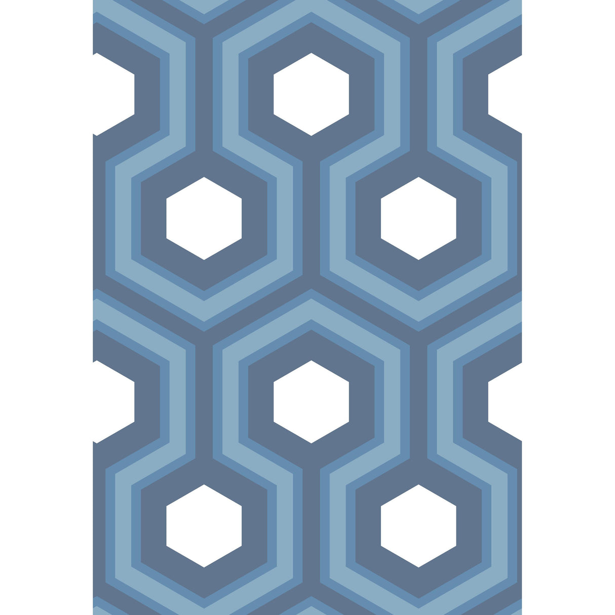 Cole & Son HICKS GRAND BLUE Wallpaper