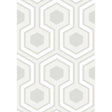 Cole & Son HICKS GRAND DOVE GREY Wallpaper