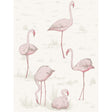 Cole & Son FLAMINGOS PINK/WHITE Wallpaper
