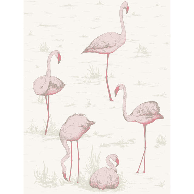 Cole & Son FLAMINGOS PINK/WHITE Wallpaper