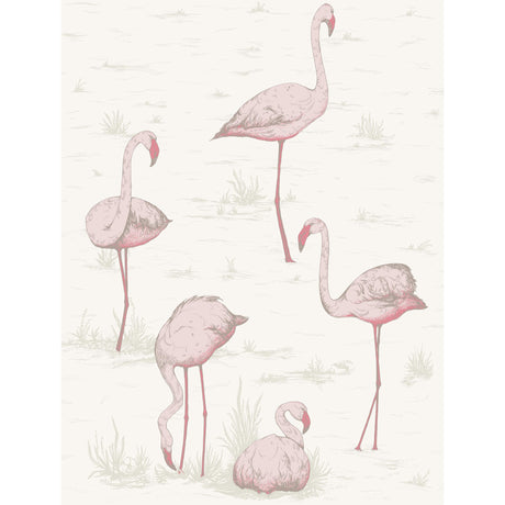 Cole & Son FLAMINGOS PINK/WHITE Wallpaper