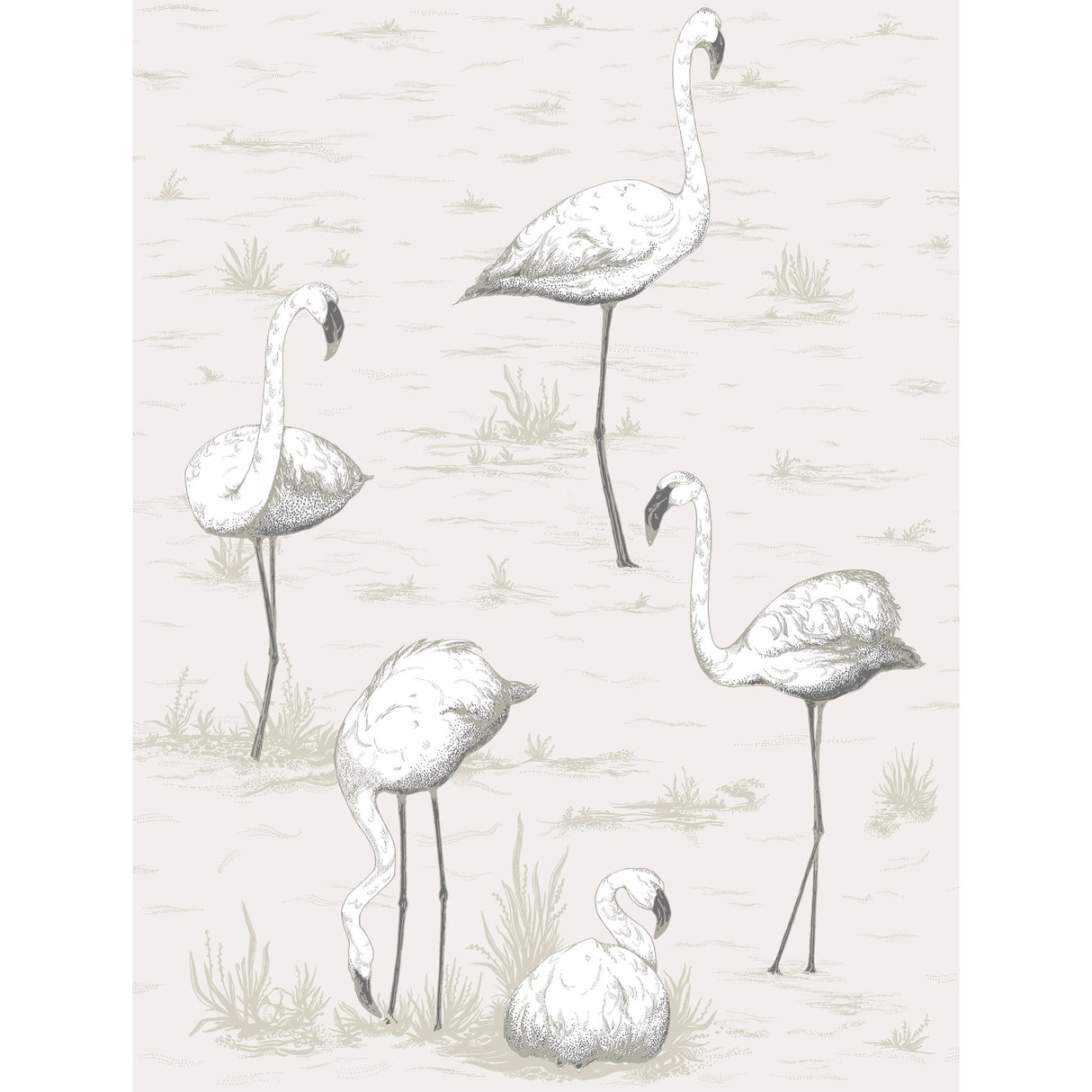 Cole & Son FLAMINGOS CHARCOAL/WHT Wallpaper