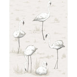 Cole & Son FLAMINGOS CHARCOAL/WHT Wallpaper