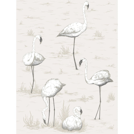 Cole & Son FLAMINGOS CHARCOAL/WHT Wallpaper