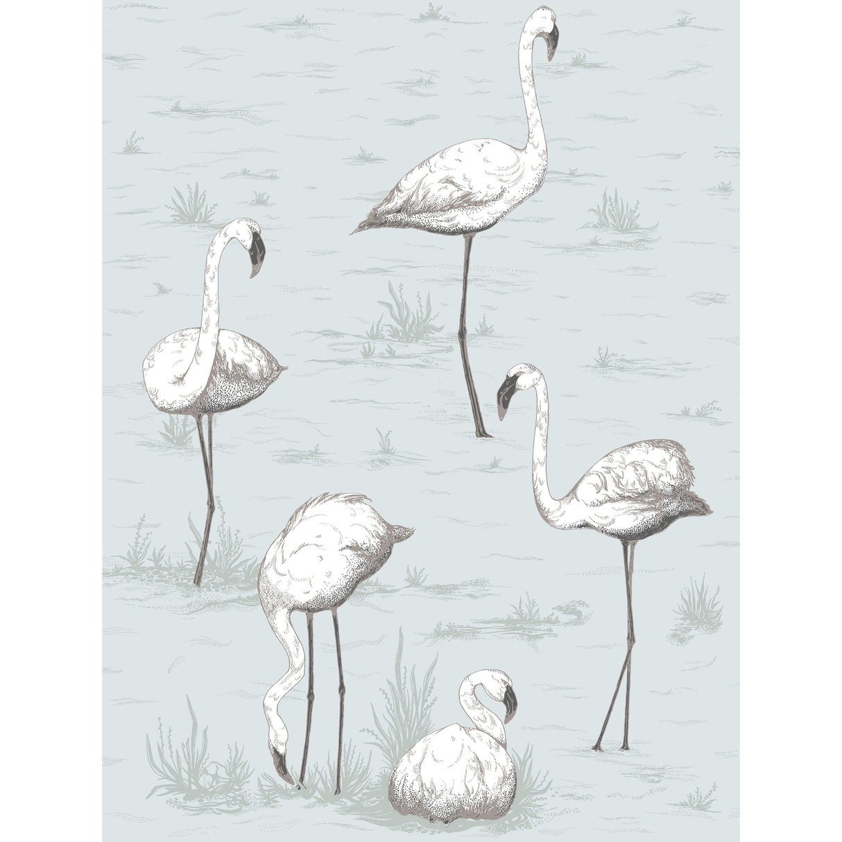Cole & Son FLAMINGOS CHARCOAL/AQUA Wallpaper