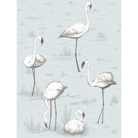 Cole & Son FLAMINGOS CHARCOAL/AQUA Wallpaper