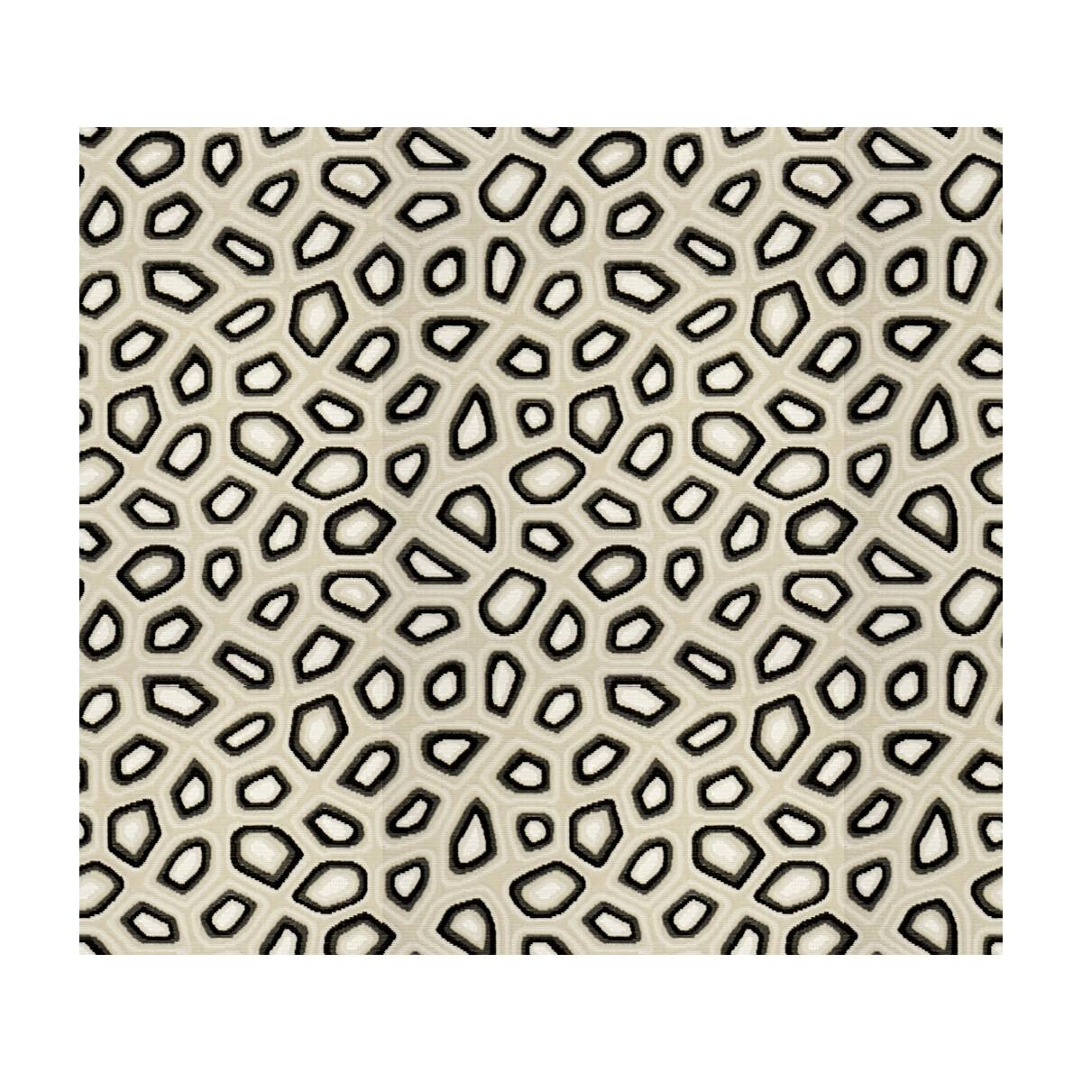 Kravet Chic Tortoise Anthracite Fabric