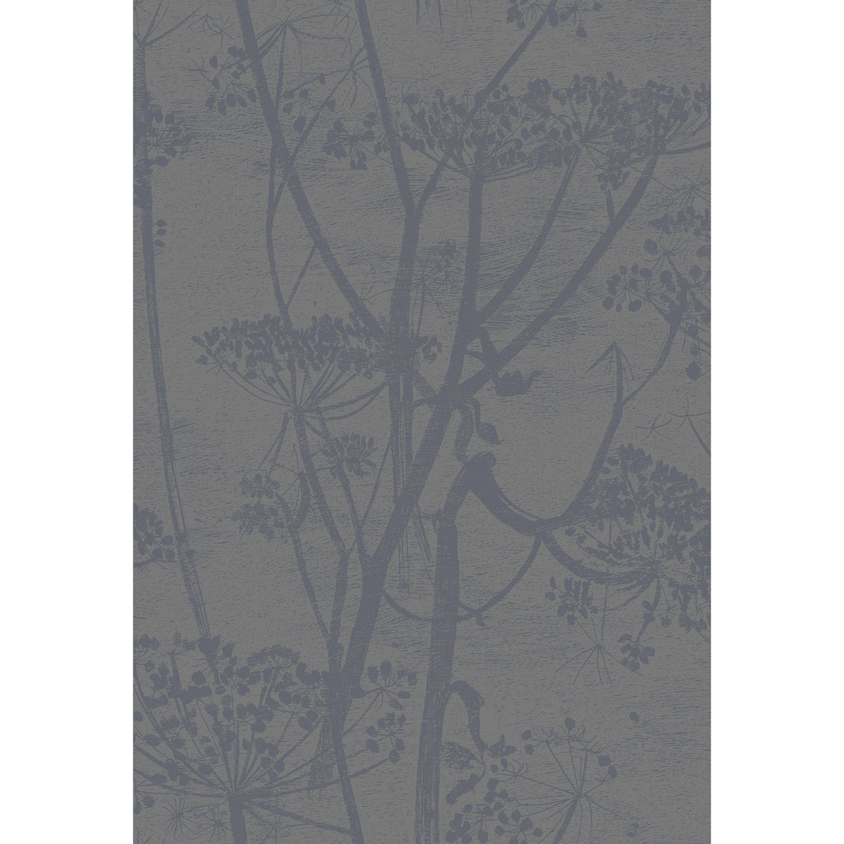Cole & Son COW PARSLEY GILVER/BLACK Wallpaper