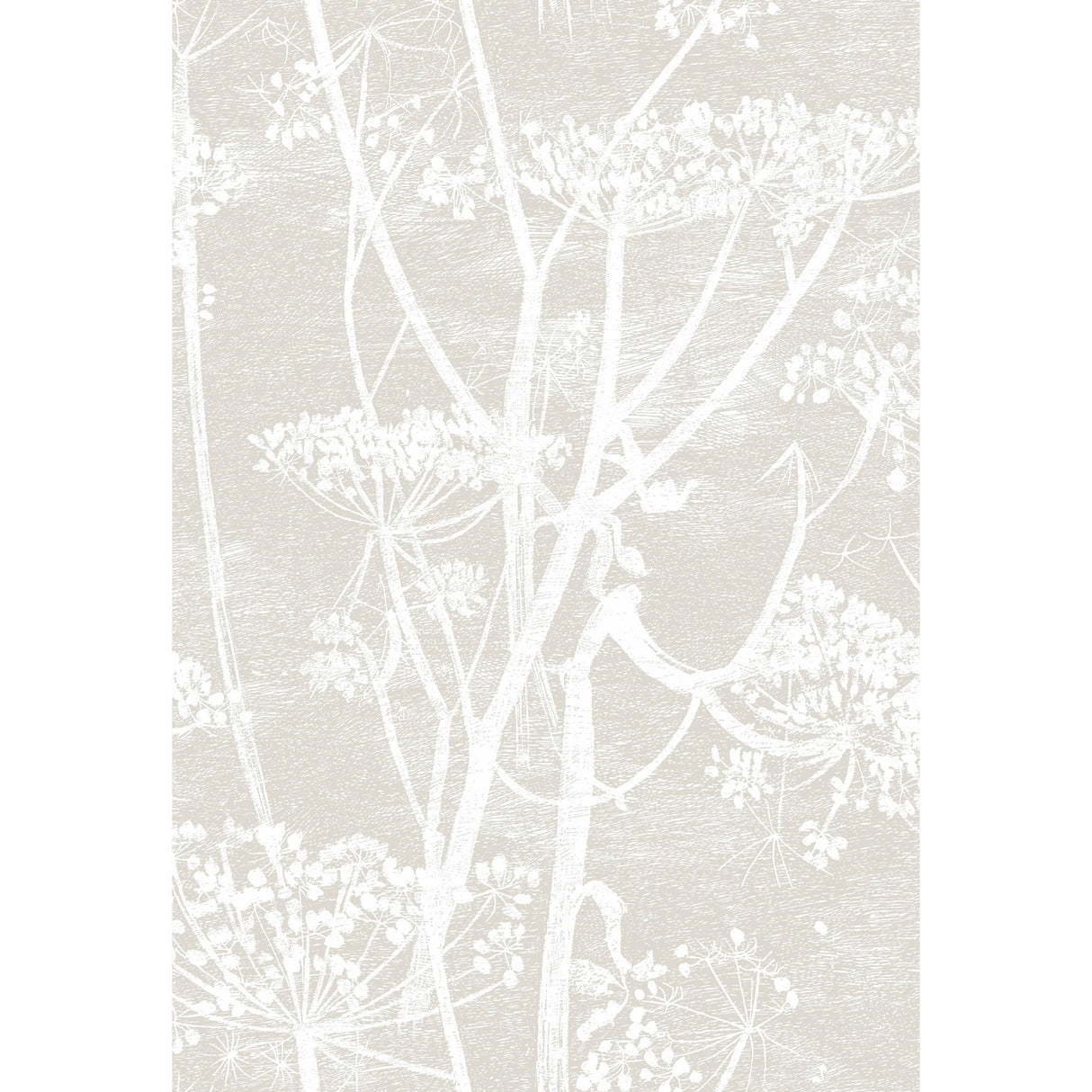 Cole & Son COW PARSLEY LINEN/WHITE Wallpaper