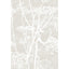 Cole & Son COW PARSLEY LINEN/WHITE Wallpaper