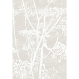 Cole & Son COW PARSLEY LINEN/WHITE Wallpaper