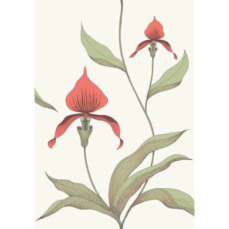 Cole & Son ORCHID RED/WHITE Wallpaper