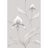 Cole & Son ORCHID GREY/WHITE Wallpaper