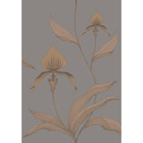 Cole & Son ORCHID BRONZE/SLATE Wallpaper