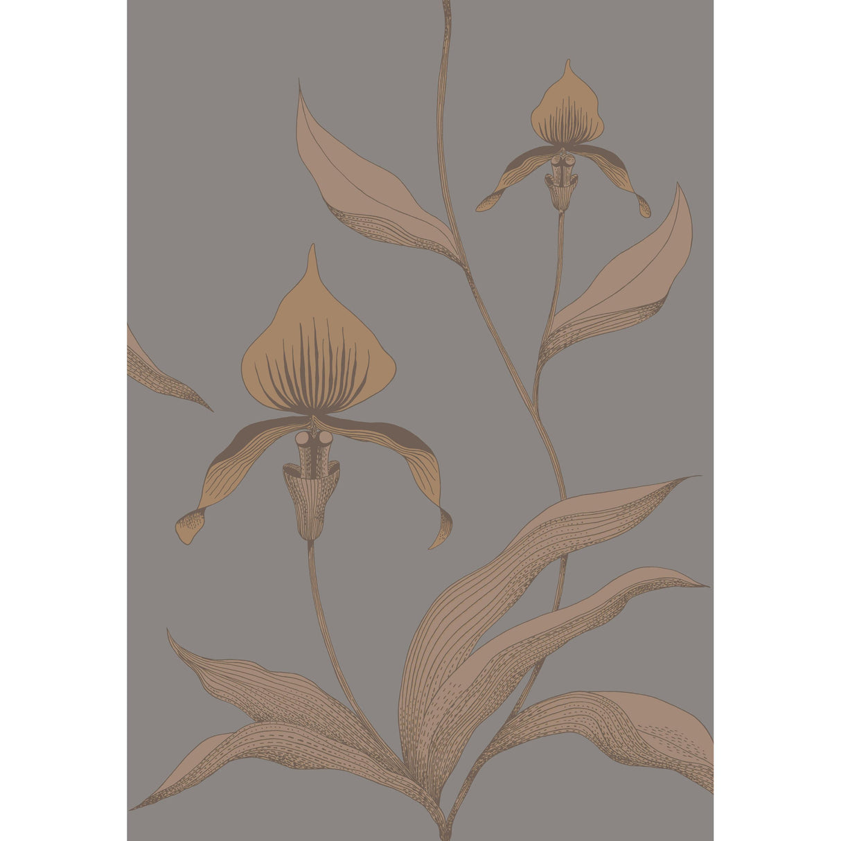 Cole & Son ORCHID BRONZE/SLATE Wallpaper