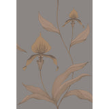 Cole & Son ORCHID BRONZE/SLATE Wallpaper
