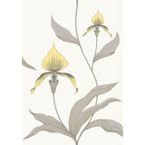 Cole & Son ORCHID YELLOW/WHITE Wallpaper