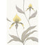 Cole & Son ORCHID YELLOW/WHITE Wallpaper