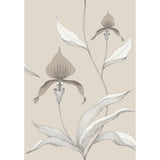 Cole & Son ORCHID LINEN/WHITE Wallpaper