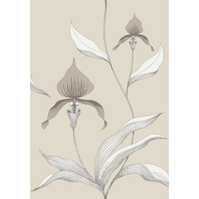 Cole & Son ORCHID LINEN/WHITE Wallpaper