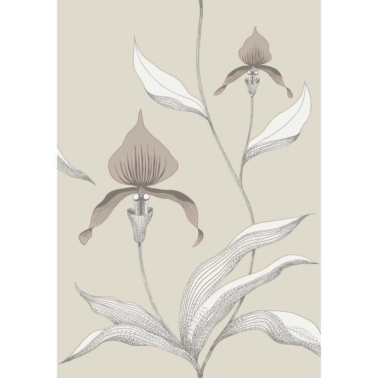 Cole & Son ORCHID LINEN/WHITE Wallpaper