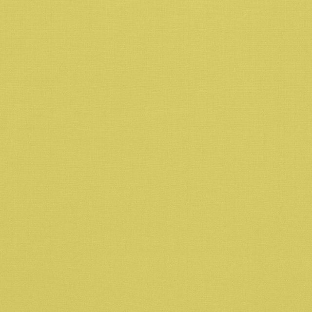 Schumacher Avery Cotton Plain Pear Fabric