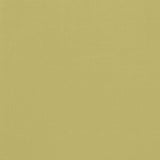 Schumacher Avery Cotton Plain Sage Fabric