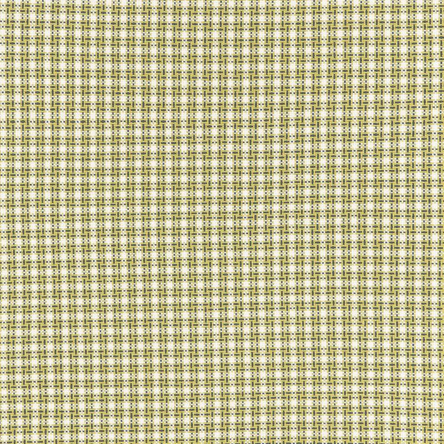 Schumacher Abington Square Citron Fabric