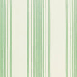 Schumacher Carnegie Cotton Stripe Robin'S Egg Fabric