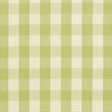 Schumacher Camden Cotton Check Sage Fabric
