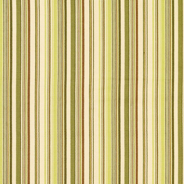 Schumacher Malibu Stripe Pear Fabric