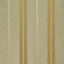 Schumacher Darcy Silk Stripe Mineral Fabric