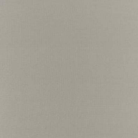 Schumacher Botticelli Silk Taffeta Fog Fabric